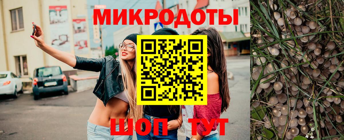Галлюциногенные грибы Psilocybine cubensis  Вход с VPN  Кимовск  Галлюциногенные грибы мицелий 